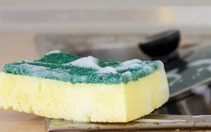 Tại sao phải làm sạch miếng bọt biển nhà bếp hàng ngày?