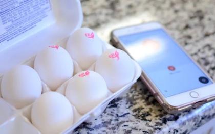 60 quả trứng hữu cơ giá hơn nửa tỷ đồng và bài học đắt giá