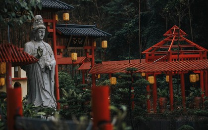 Phát hiện ngôi chùa có cây cổ thụ trăm tuổi, cách Hà Nội chỉ hơn 1 giờ lái xe, phù hợp đi lễ dịp đầu năm