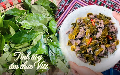 Cây mọc hoang khi xưa giờ thành đặc sản: Nấu với thịt trâu thơm ngon, đậm đà, ăn một lần là mê