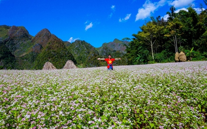 Hà Giang sẵn sàng đón du khách trong mùa hoa tam giác mạch