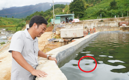 Anh nông dân "phát tài" nhờ nuôi cá ngoại quốc theo cách lạ cứ thế kiếm 22 tỷ đồng