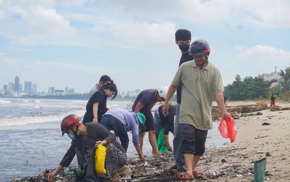 Lạ: Dân Đà Nẵng tràn ra biển sau bão số 6, lập tức hốt được cả chục ký "lộc trời" mang về bán