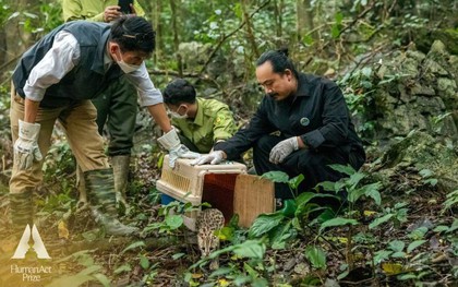 Về Nhà - Hành trình “tái hoang dã” đầy cảm xúc ở Vườn Quốc gia Cúc Phương