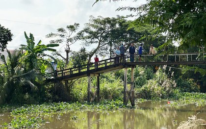 Truy bắt cá sấu nổi trên sông Bằng Lăng, Long An