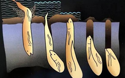 Tư duy cá phổi: Trẻ càng ngoan càng khó vượt qua nghịch cảnh