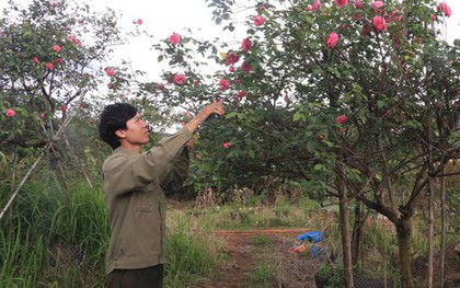 Khởi nghiệp từ những món quà tặng mẹ, chàng trai 9X mang về doanh thu “khủng”