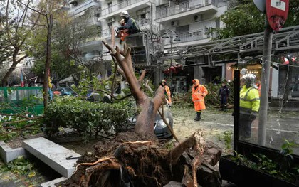 Bão Bora khiến 2 người tử vong, gây thiệt hại trên diện rộng ở Hy Lạp