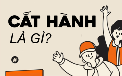 Cắt hành nghĩa là gì?