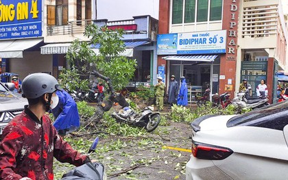 Cây xanh bật gốc đè trúng một người đi đường