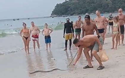 Đang tắm biển, du khách hoảng loạn khi bắt gặp cảnh đáng sợ