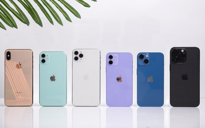 Nhiều mẫu iPhone cũ giảm chạm đáy, giá chỉ còn dưới 10 triệu đồng