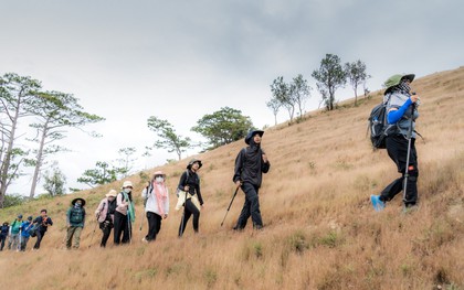 Trải nghiệm cung đường trekking đẹp nhất Việt Nam mùa cỏ cháy