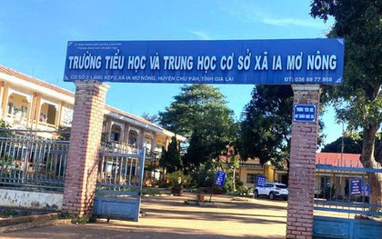 Hiệu trưởng lập khống hồ sơ, bán cây xanh, cho dạy thay chỉ bị yêu cầu "nghiêm khắc tự kiểm điểm"