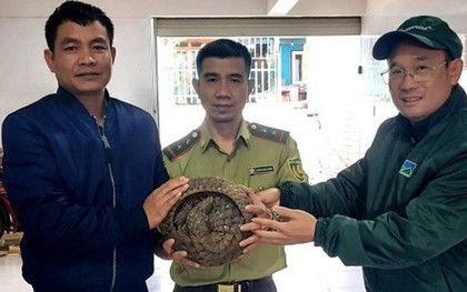 Đi tập thể dục, bất ngờ phát hiện con vật quý hiếm bên lề đường