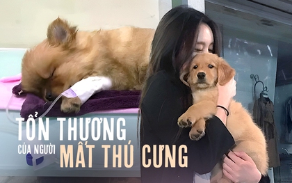 "Người ta hỏi cảm giác mất thú cưng là thế nào? Khi nó mất đi, tôi cảm thấy mình không đáng được sống tốt"