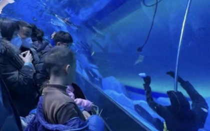 Trung Quốc: Một thợ lặn chết đuối ngay trong thủy cung, nhiều du khách đứng xem còn tưởng là "hình nộm"