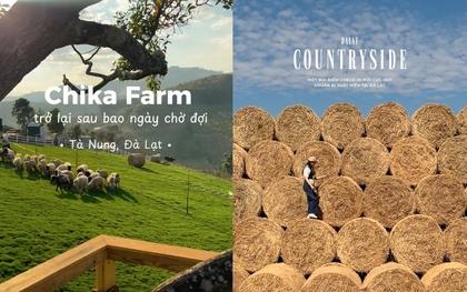 Chika Farm Đà Lạt bất ngờ thông báo trở lại đúng mùng 2 Tết, thêm nhiều cảnh check-in đẹp mê mẩn