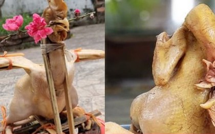 Những màn luộc gà thảm họa ngày Tết gây sốt mạng