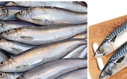 5 loại cá ngọt thịt, ít xương đi chợ mà thấy thì nên mua ngay