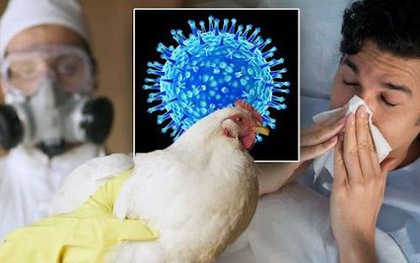 Sinh viên nhiễm cúm gia cầm A/H5 ở Khánh Hòa đã tử vong: Bệnh cúm này nguy hiểm như thế nào?