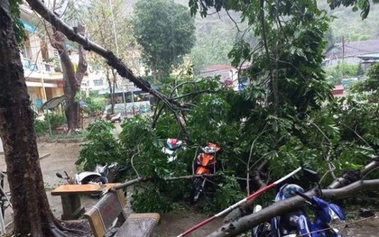 Mưa lớn kèm gió lốc khiến nhiều ngôi nhà, trường học ở Hà Giang bị hư hỏng