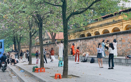 Hoa ban tím "mất mùa", dân tình phải mang cả... ghế nhựa theo để đứng lên chụp ảnh cho đẹp