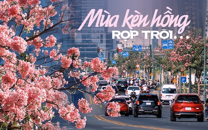 Mùa kèn hồng rợp trời Sài Gòn, chợt thấy thành phố mộng mơ biết bao giữa sắc hoa rực rỡ