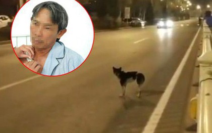 Chó bất ngờ băng sang đường khiến người đàn ông bị gãy xương đòn