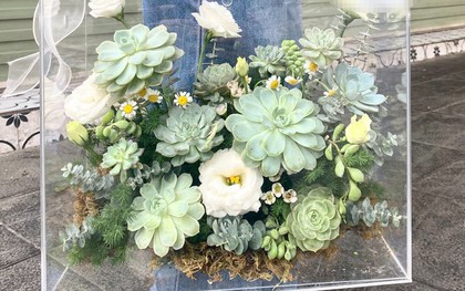 Hộp hoa mica mới lạ, giá hàng triệu dịp 8/3