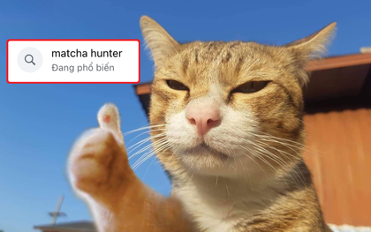 “Matcha hunter” - từ khóa đang xâm chiếm mạng xã hội là gì?
