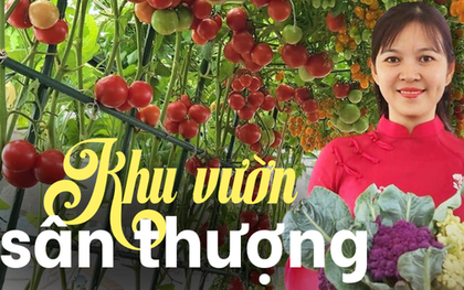 Mẹ đảm mê trồng cây sân thượng: Rau củ ăn quanh năm không hết phải mang tặng, vườn đẹp đến nỗi đồng nghiệp lẫn học sinh mầm non đến check-in