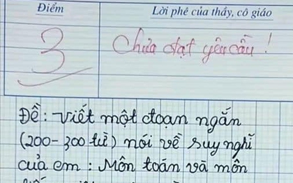 Bài văn đang gây bão mạng: Bị chấm 3 điểm vì không đạt yêu cầu viết lách nhưng dân tình cho rằng, lý lẽ trong bài xứng đáng 100 điểm!