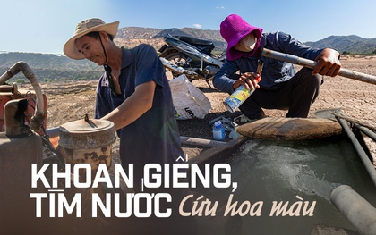 Xót xa cảnh bà con nông dân Ninh Thuận nỗ lực khoan giếng, tìm nước cứu hoa màu khi hồ thủy lợi khô đáy