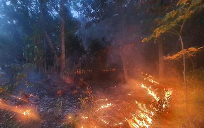 Hai cán bộ kiểm lâm Hà Giang tử vong khi chữa cháy rừng