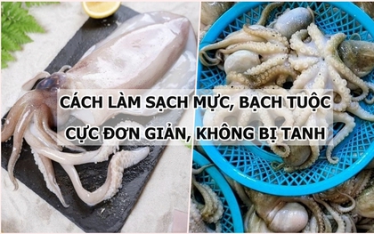 Bật mí cách làm sạch mực, bạch tuộc cực nhanh gọn và đơn giản