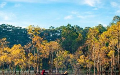 Suối Tía hồ Tuyền Lâm mùa lá vàng đẹp như tranh