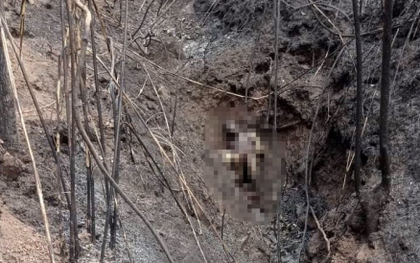 Phát hiện thi thể 3 bố con chết cháy trong khe núi ở Điện Biên