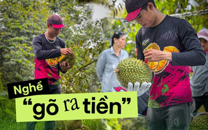 Chàng trai 25 tuổi kinh nghiệm 7 năm leo cây gõ sầu chia sẻ về nghề độc lạ: Thu nhập ngang giám đốc, nhưng không phải ai cũng theo được vì lý do này