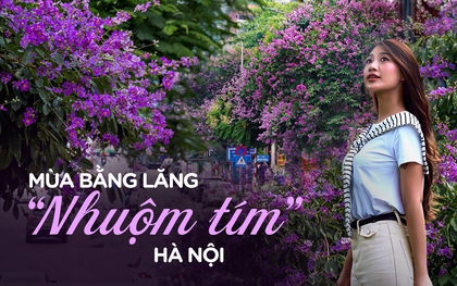 Từ đường phố Hà Nội tới MXH đều ngập sắc tím bằng lăng: Năm nào cũng nở nhưng năm nay bỗng phủ sóng khắp mọi mặt trận