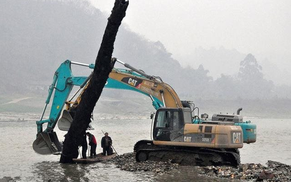 Cây gỗ dài 22m, nặng 60 tấn được phát hiện dưới sông: Giá trị ước tính hơn 10 tỷ đồng khiến cảnh sát phải phong tỏa hiện trường, máy xúc mất 2 ngày mới trục vớt được