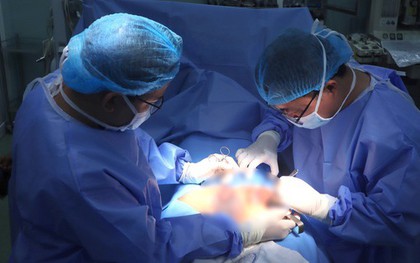 Người đàn ông trong lúc giúp heo mẹ đẻ, bị heo táp rách “của quý”