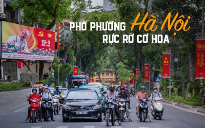 Phố phường Thủ đô rợp cờ hoa kỷ niệm 134 năm ngày sinh Chủ tịch Hồ Chí Minh, dòng người bồi hồi xếp hàng vào Lăng viếng Bác