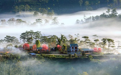 Phát hiện ngôi làng ẩn mình trong sương, là bối cảnh phim của nhà sản xuất Việt nghìn tỷ, ngay gần Đà Lạt
