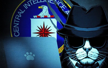 Huấn luyện điệp viên mèo: Thất bại trị giá 20 triệu USD của CIA