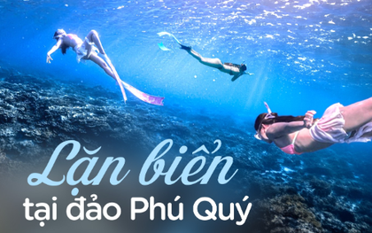 Review tour lặn biển tại đảo Phú Quý: 1,5 triệu cho 2 buổi, được dạy lặn, ảo diệu nhất là dịch vụ chụp ảnh đẹp quên lối về!