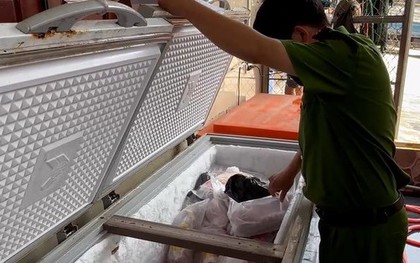 Tạm giữ hàng tấn thịt gà đông lạnh không rõ nguồn gốc