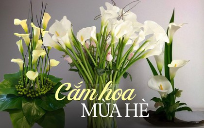 Loài hoa “đỏng đảnh” nhưng nhất định phải cắm vào mùa hè, ưa sáng, chịu được nhiệt độ cao, độ bền lên tới 15 ngày