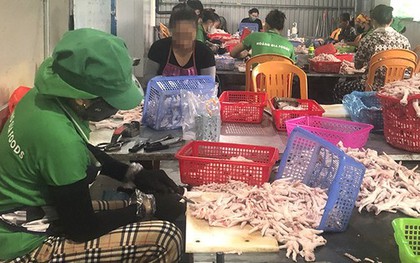 Phát hiện 3 tấn gà đông lạnh không nguồn gốc tại xưởng sơ chế thực phẩm ở Quảng Bình
