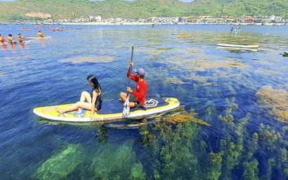 'Cánh đồng vàng' rong mơ làng Nhơn Hải hút hồn du khách